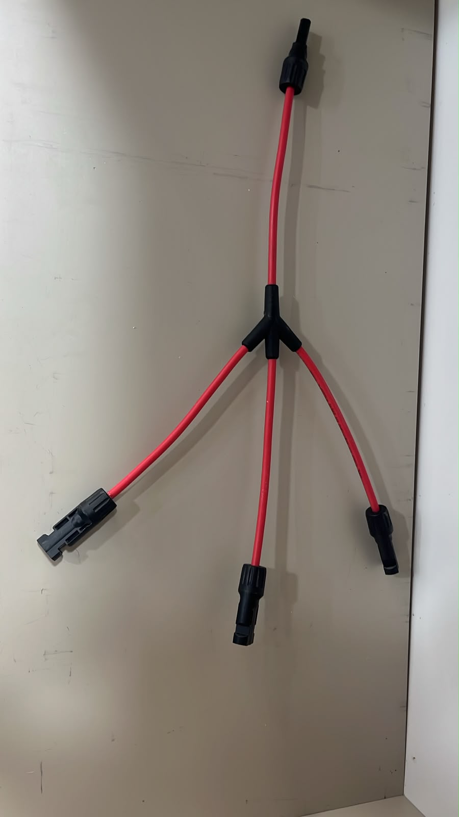 3 lü y branç 